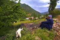 Bahçe İlçesi