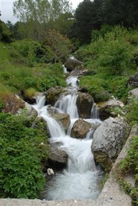 Zorkun Yaylası