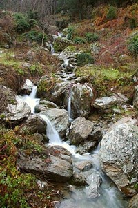 Zorkun Yaylası